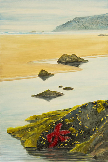 Moolack Beach, Jackie Johnston, 36x24 Watercolor $699